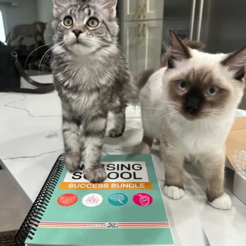 Nursing School Success Bundle photo review