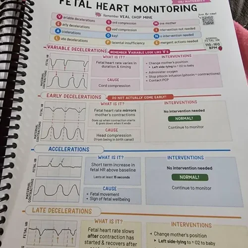 Nursing School Success Bundle photo review